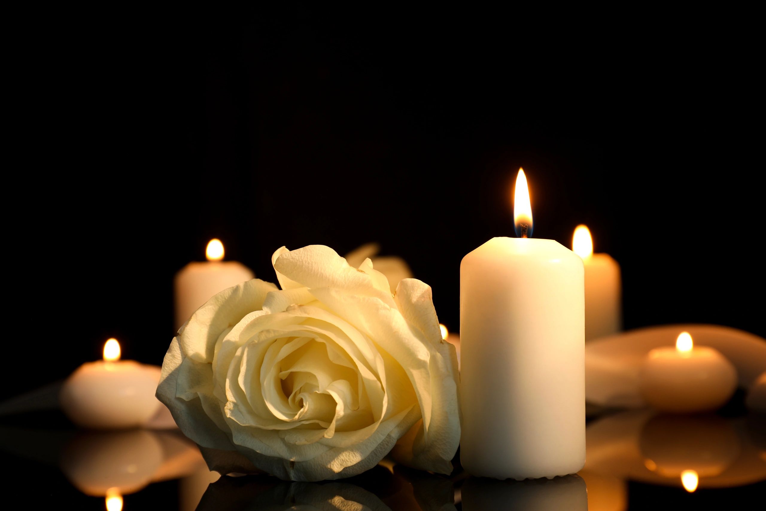 White rose and burning candles in remembrance