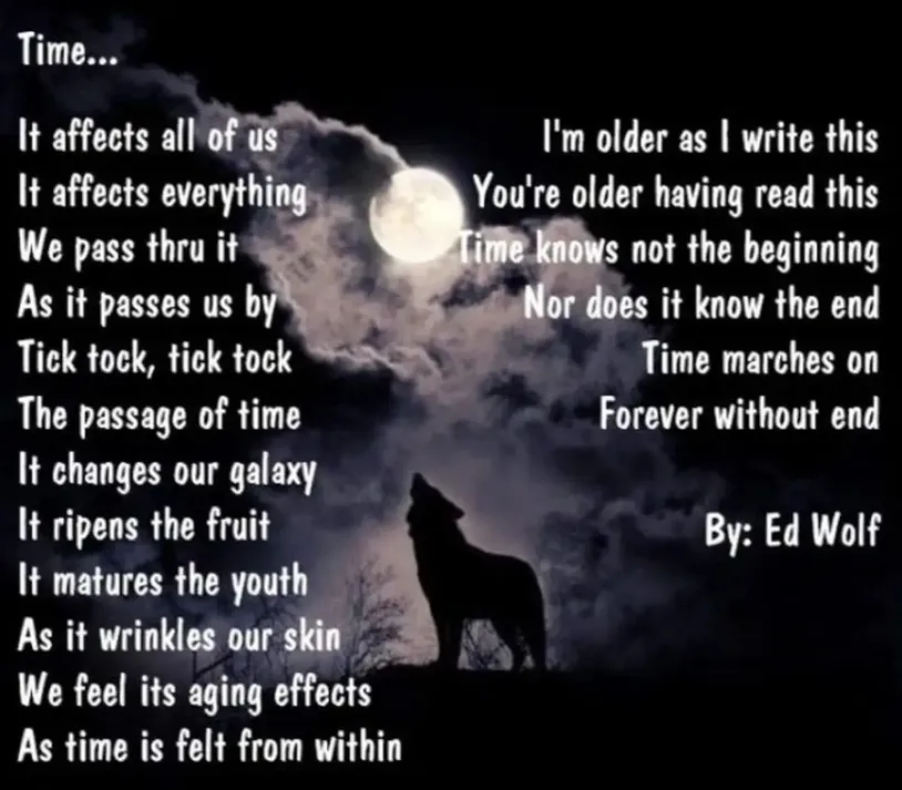 Moonlit poem illustration by Ed Wolf with a silhouette of a person and dog