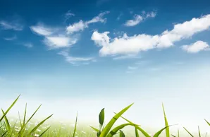 Green grass under a blue sky with white clouds