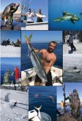 Collage of outdoor and military-themed photos